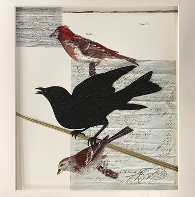 Crow With Song Birds